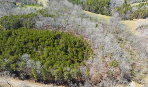 Photo #47 of SOLD property in Off of State Road 1580, Leasburg, NC 22.9 acres