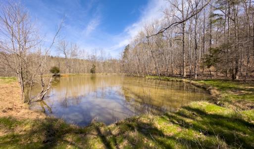 Photo #4 of SOLD property in Off of State Road 1580, Leasburg, NC 22.9 acres