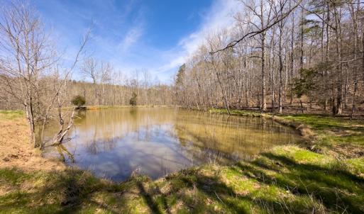 Photo #4 of SOLD property in Off of State Road 1580, Leasburg, NC 22.9 acres