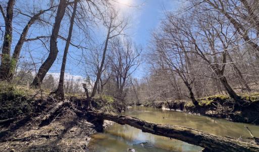 Photo #5 of SOLD property in Off of State Road 1580, Leasburg, NC 22.9 acres