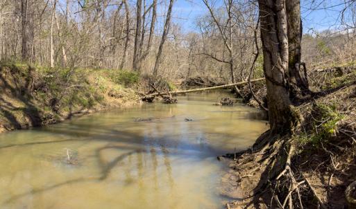Photo #6 of SOLD property in Off of State Road 1580, Leasburg, NC 22.9 acres