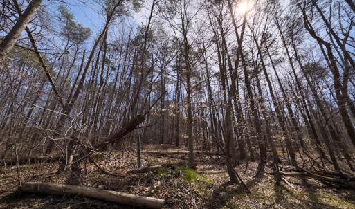 Photo #8 of SOLD property in Off of State Road 1580, Leasburg, NC 22.9 acres