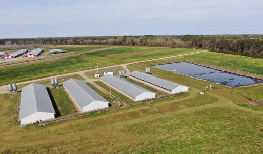 Photo #3 of Off Blue Moon Road, Hamer, SC 26.0 acres