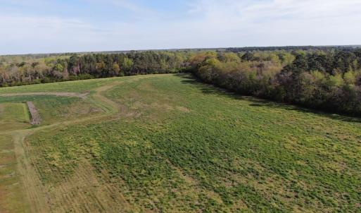 Photo #4 of Off Blue Moon Road, Hamer, SC 26.0 acres