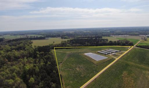 Photo #14 of Off Blue Moon Road, Hamer, SC 26.0 acres