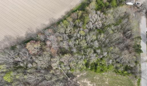 Photo #7 of SOLD property in 173 Paxton Lane, Edenton, NC 1.7 acres