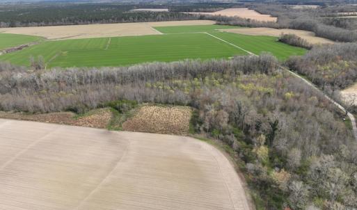 Photo #10 of SOLD property in 173 Paxton Lane, Edenton, NC 1.7 acres