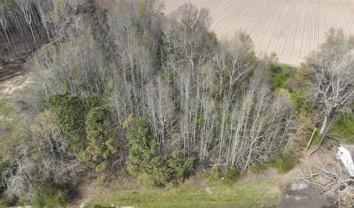 Photo #16 of SOLD property in 173 Paxton Lane, Edenton, NC 1.7 acres