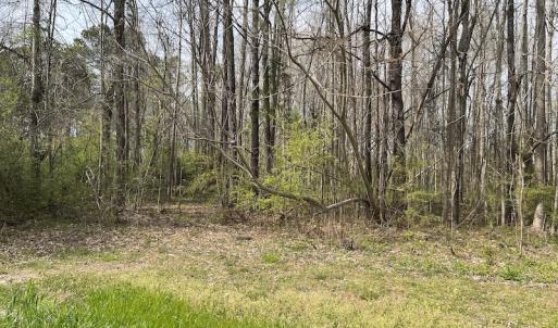 Photo #19 of SOLD property in 173 Paxton Lane, Edenton, NC 1.7 acres
