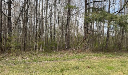 Photo #20 of SOLD property in 173 Paxton Lane, Edenton, NC 1.7 acres