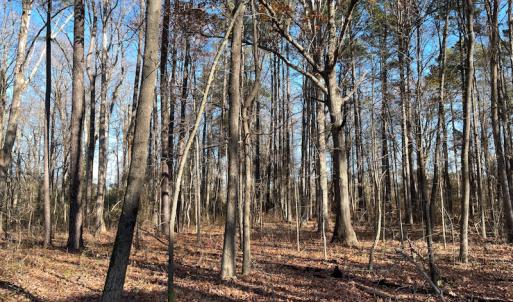 Photo #13 of SOLD property in Off Sunset Avenue, Rocky Mount, NC 50.4 acres