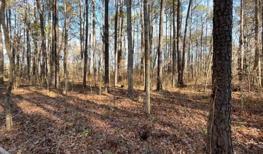 Photo #22 of SOLD property in Off Sunset Avenue, Rocky Mount, NC 50.4 acres