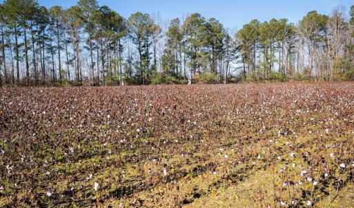 Photo #24 of SOLD property in Off Sunset Avenue, Rocky Mount, NC 50.4 acres