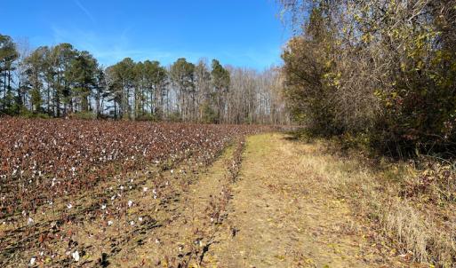 Photo #32 of SOLD property in Off Sunset Avenue, Rocky Mount, NC 50.4 acres