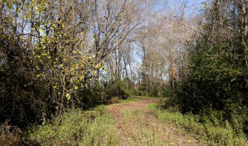 Photo #40 of SOLD property in Off Sunset Avenue, Rocky Mount, NC 50.4 acres