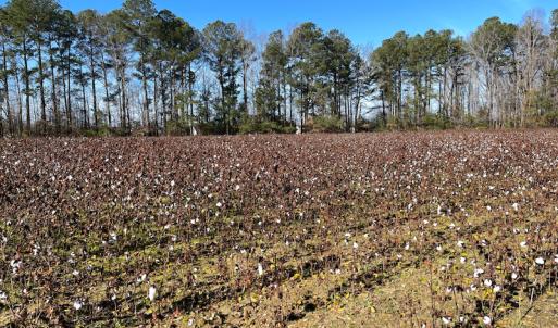 Photo #43 of SOLD property in Off Sunset Avenue, Rocky Mount, NC 50.4 acres