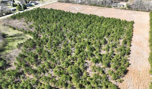 Photo #7 of 142 Peninsula Shores Way, Hertford, NC 11.9 acres
