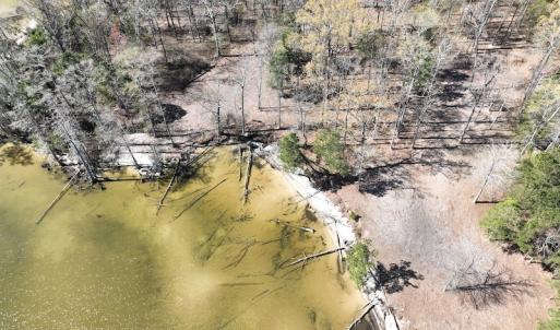 Photo #9 of 142 Peninsula Shores Way, Hertford, NC 11.9 acres