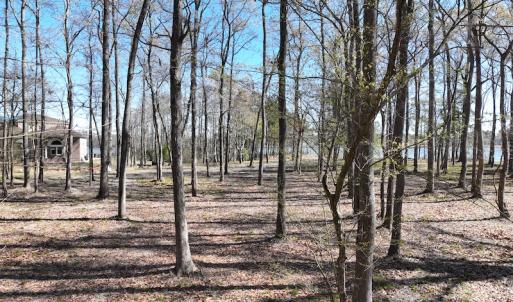 Photo #13 of 142 Peninsula Shores Way, Hertford, NC 11.9 acres
