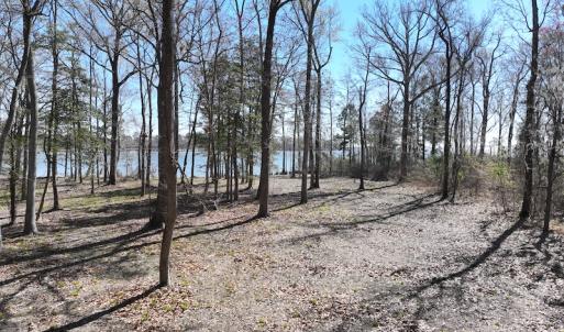 Photo #14 of 142 Peninsula Shores Way, Hertford, NC 11.9 acres