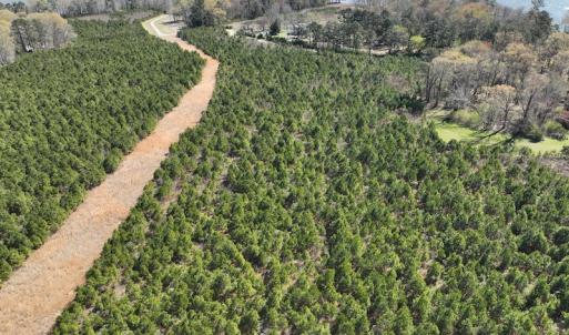 Photo #27 of 142 Peninsula Shores Way, Hertford, NC 11.9 acres