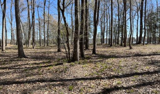 Photo #36 of 142 Peninsula Shores Way, Hertford, NC 11.9 acres