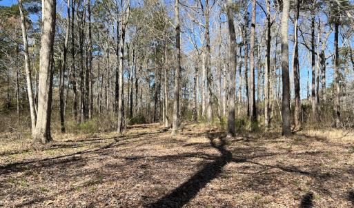 Photo #38 of 142 Peninsula Shores Way, Hertford, NC 11.9 acres