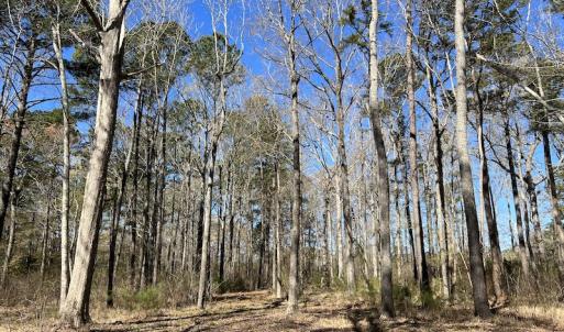 Photo #39 of 142 Peninsula Shores Way, Hertford, NC 11.9 acres