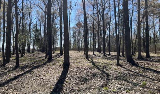 Photo #40 of 142 Peninsula Shores Way, Hertford, NC 11.9 acres