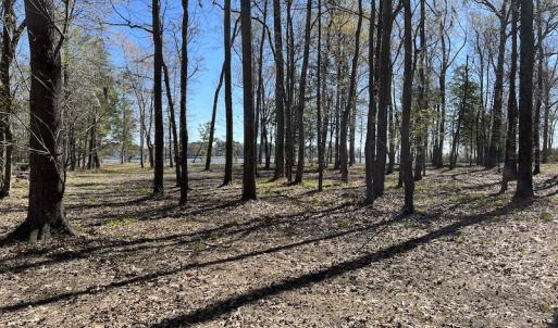 Photo #41 of 142 Peninsula Shores Way, Hertford, NC 11.9 acres