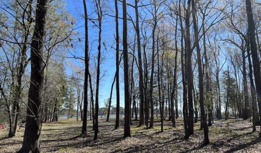 Photo #42 of 142 Peninsula Shores Way, Hertford, NC 11.9 acres