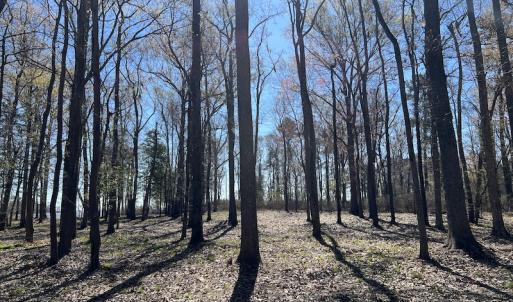 Photo #43 of 142 Peninsula Shores Way, Hertford, NC 11.9 acres