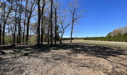 Photo #46 of 142 Peninsula Shores Way, Hertford, NC 11.9 acres