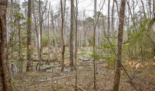 Photo #11 of SOLD property in Off Manning Bridge Rd, Suffolk, VA 7.7 acres