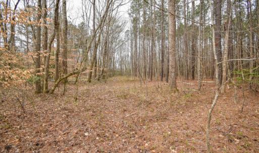 Photo #12 of SOLD property in Off Manning Bridge Rd, Suffolk, VA 7.7 acres