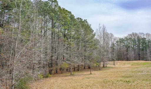 Photo #3 of SOLD property in Off Manning Bridge Rd, Suffolk, VA 7.7 acres