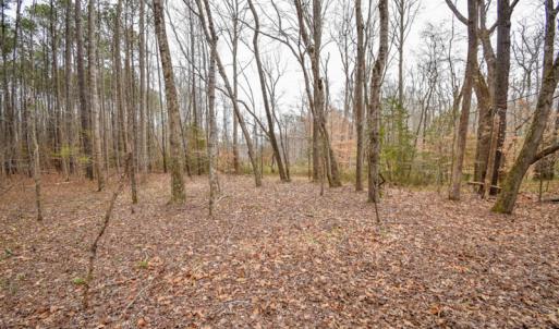 Photo #5 of SOLD property in Off Manning Bridge Rd, Suffolk, VA 7.7 acres