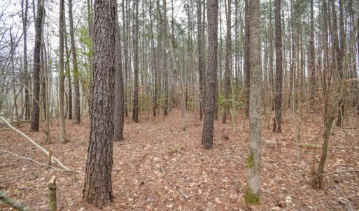Photo #10 of SOLD property in Off Manning Bridge Rd, Suffolk, VA 7.7 acres