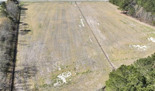 Photo #2 of Off Sladesville Credle Road, Scranton, NC 7.7 acres