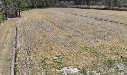 Photo #3 of Off Sladesville Credle Road, Scranton, NC 7.7 acres