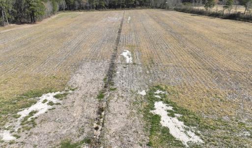 Photo #6 of Off Sladesville Credle Road, Scranton, NC 7.7 acres