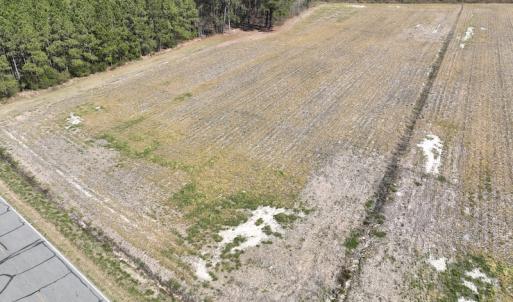 Photo #7 of Off Sladesville Credle Road, Scranton, NC 7.7 acres