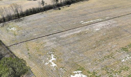 Photo #9 of Off Sladesville Credle Road, Scranton, NC 7.7 acres