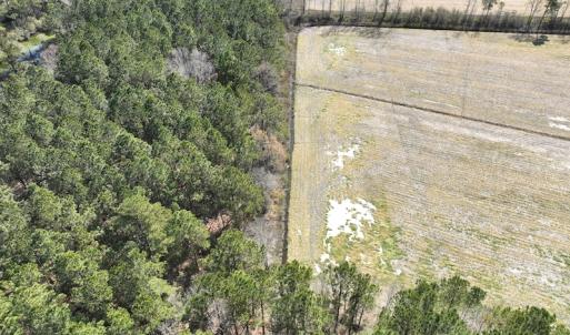 Photo #10 of Off Sladesville Credle Road, Scranton, NC 7.7 acres