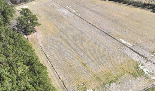 Photo #11 of Off Sladesville Credle Road, Scranton, NC 7.7 acres