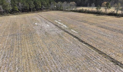 Photo #12 of Off Sladesville Credle Road, Scranton, NC 7.7 acres