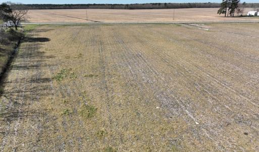 Photo #14 of Off Sladesville Credle Road, Scranton, NC 7.7 acres
