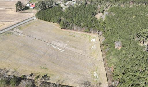 Photo #15 of Off Sladesville Credle Road, Scranton, NC 7.7 acres