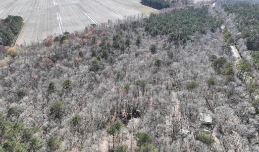 Photo #6 of 283 S. Fork creek Road, Columbia, NC 34.0 acres