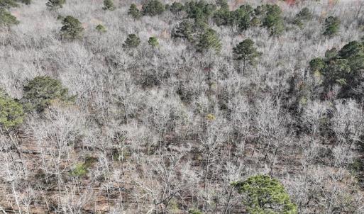 Photo #13 of 283 S. Fork creek Road, Columbia, NC 34.0 acres